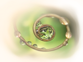 spirala